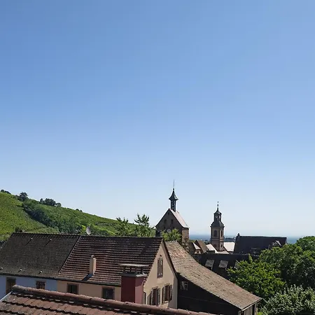 Riesling - Vue Imprenable Sur Le Vignoble - Renove Recemment - Parking Gratuit アパート *