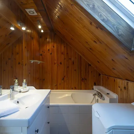 アパート Riesling - Vue Imprenable Sur Le Vignoble - Renove Recemment - Parking Gratuit リクヴィール