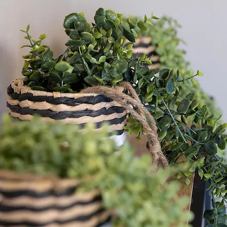 Riesling - Vue Imprenable Sur Le Vignoble - Renove Recemment - Parking Gratuit リクヴィール