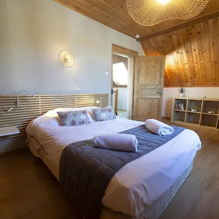 Riesling - Vue Imprenable Sur Le Vignoble - Renove Recemment - Parking Gratuit * Riquewihr