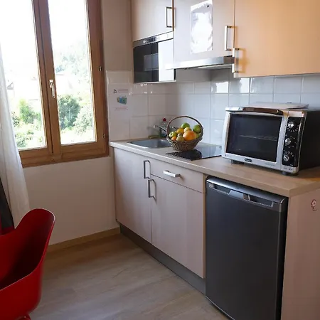 Riesling - Vue Imprenable Sur Le Vignoble - Renove Recemment - Parking Gratuit リクヴィール