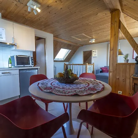 Riesling - Vue Imprenable Sur Le Vignoble - Renove Recemment - Parking Gratuit * リクヴィール