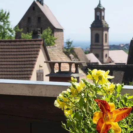 Riesling - Vue Imprenable Sur Le Vignoble - Renove Recemment - Parking Gratuit リクヴィール