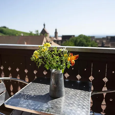 Apartmán Riesling - Vue Imprenable Sur Le Vignoble - Renove Recemment - Parking Gratuit *