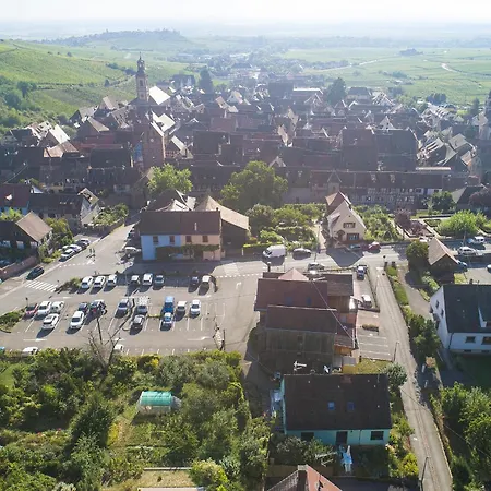 Riesling - Vue Imprenable Sur Le Vignoble - Renove Recemment - Parking Gratuit リクヴィール