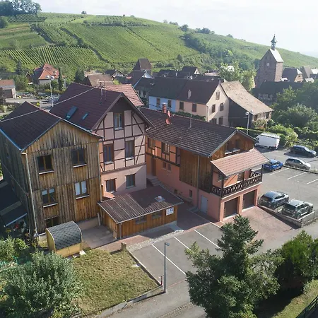 Riesling - Vue Imprenable Sur Le Vignoble - Renove Recemment - Parking Gratuit