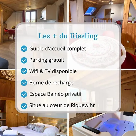 Riesling - Vue Imprenable Sur Le Vignoble - Renove Recemment - Parking Gratuit *