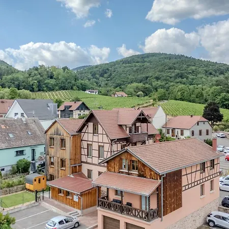 Riesling - Vue Imprenable Sur Le Vignoble - Renove Recemment - Parking Gratuit Riquewihr